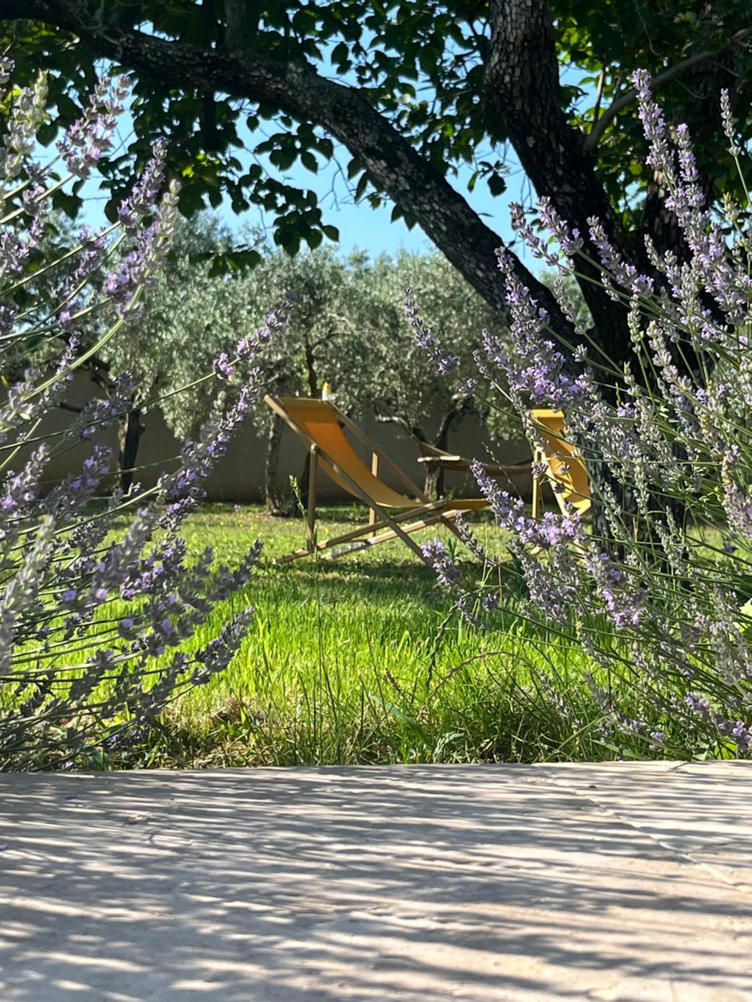 Le Mas Li Jasso Piolenc Exterior foto
